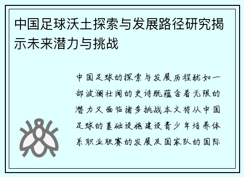 中国足球沃土探索与发展路径研究揭示未来潜力与挑战
