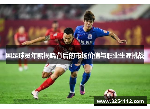 国足球员年薪揭晓背后的市场价值与职业生涯挑战