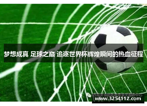 梦想成真 足球之巅 追逐世界杯辉煌瞬间的热血征程