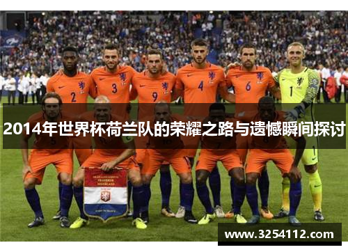 2014年世界杯荷兰队的荣耀之路与遗憾瞬间探讨