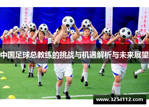 中国足球总教练的挑战与机遇解析与未来展望