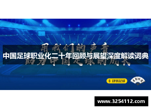 中国足球职业化二十年回顾与展望深度解读词典
