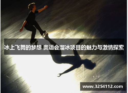冰上飞舞的梦想 奥运会溜冰项目的魅力与激情探索